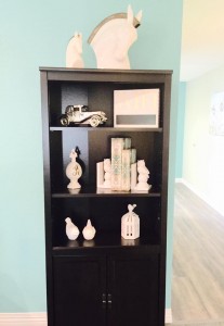 shelf-1